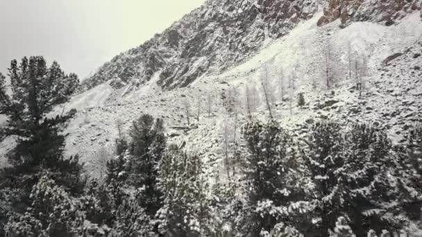 A montanha Belukha enorme, o vale do rio Aktru, as montanhas de Altai, o pé de geleiras e os topos de árvores. Floresta de inverno, rio de montanha congelado no vale do Chuya e Aktru — Vídeo de Stock