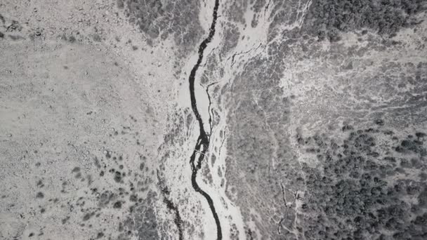 Шторм, снегопад в огромном леднике горы Белуха, в долине реки Актру, в горах Алтая. Облачная погода, камень в снегу, шторм, дикая природа, зимний лес, замерзшая горная река — стоковое видео
