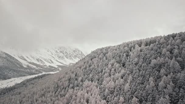 Floresta de inverno e rio de montanha congelado no vale do rio Chuya República de Altai, Sibéria, Rússia. Vista aérea através das nuvens de uma floresta fria selvagem vazia com copas de árvores cobertas de neve, uma ramificação — Vídeo de Stock