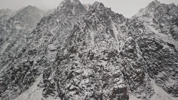 Storm, snöfall i den enorma glaciären vid berget Belukha, Aktru älvs dal, Altai-bergen. Molnigt väder, sten i snön, storm, vilda djur, vinterskog, frusen bergsflod i — Stockvideo