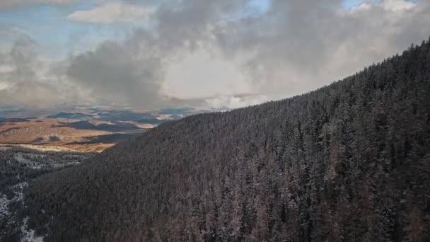 Floresta de inverno e rio de montanha congelado no vale do rio Chuya República de Altai, Sibéria, Rússia. Vista aérea através das nuvens de uma floresta fria selvagem vazia com copas de árvores cobertas de neve, uma ramificação — Vídeo de Stock