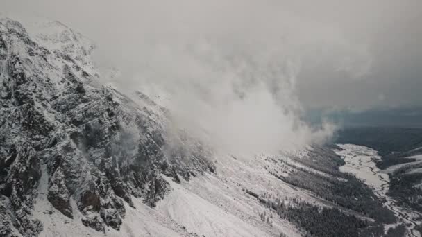 Tempesta, nevicate nell'immenso ghiacciaio del Monte Belukha, la valle del fiume Aktru, le montagne dell'Altai. Tempo nuvoloso, pietra nella neve, tempesta, fauna selvatica, foresta invernale, fiume di montagna ghiacciato in — Video Stock