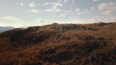 Altai Cumhuriyeti, Sibirya, Rusya. Dağdaki kar ve karlı dağlarda sonbahar kış ormanlarının havadan görünüşü. Soğuk yaban manzarası: Tepede karlı ağaçların altın sarısı yaprakları