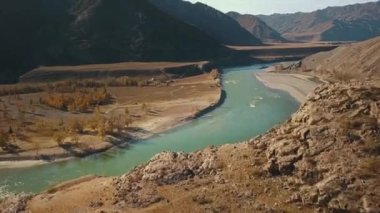Altai Cumhuriyeti, Sibirya, Rusya. Biya ve Katun nehirleri bir nehirde birleşir. Sonbahar yaban hayatı manzarası: Büyük dağlar, taş kıyıları, altın yapraklı sarı ağaçlar, yeşil turkuaz nehri.
