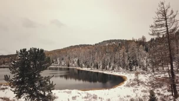 Altai, Syberia, Rosja. Samotne, dzikie, puste górskie jezioro zimą z białymi, pokrytymi śniegiem górami na tle. Lasy pokryte śniegiem, autostrada, odbicia w wodzie. Wolność, samotność — Wideo stockowe
