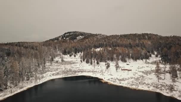 Altai, Szibéria, Oroszország. Egy magányos, üres hegyi tó télen, fehér, hófödte hegyekkel a háttérben. Hóval borított erdők, autópálya, tükröződések a vízben. Szabadság, magány — Stock videók