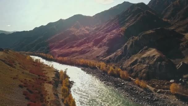 Αεροφωτογραφία του ήρεμου ορεινού ποταμού Κατούν. Φθινοπωρινό τοπίο της άγριας φύσης της περιοχής Altai: Βουνά, δάση, χωράφια, ένας επαρχιακός δρόμος με τα πόδια, οι ακτίνες του ήλιου. Η κάμερα πετάει. — Αρχείο Βίντεο