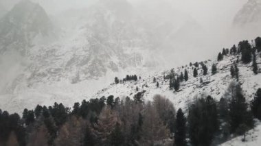 Fırtına, Belukha Dağı 'nın dev buzulunda kar yağışı Aktru Nehri vadisi, Altai Dağları. Bulutlu hava, karda taş, fırtına, vahşi yaşam, kış ormanı, donmuş dağ nehri