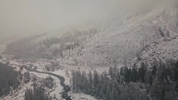 风暴，大雪下在大雪中的Belukha山，Aktru河的山谷，阿尔泰山脉。多云的天气，雪地里的石头，风暴，野生动物，冬天的森林，冰冻的山河 — 图库视频影像