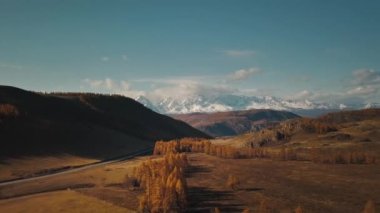 Altai Cumhuriyeti, Sibirya, Rusya. Nadir ağaçlar, uçsuz bucaksız bir tarlada bir otoyol ve bozkırda kocaman karlı dağlar. Altai Bölgesi 'nin güzel sonbahar yaban hayatının hava manzarası.
