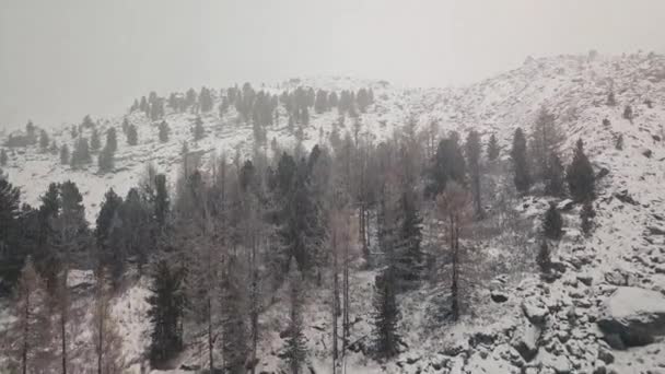 风暴，大雪下在大雪中的Belukha山，Aktru河的山谷，阿尔泰山脉。多云的天气，雪地里的石头，风暴，野生动物，冬天的森林，冰冻的山河 — 图库视频影像