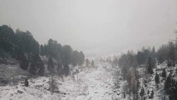 Tempestade, nevasca no enorme glaciar do Monte Belukha, no vale do rio Aktru, nas montanhas Altai. Tempo nublado, pedra na neve, tempestade, vida selvagem, floresta de inverno, rio de montanha congelado em — Vídeo de Stock