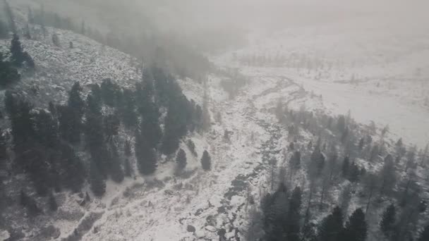 Storm, snöfall i den enorma glaciären vid berget Belukha, Aktru älvs dal, Altai-bergen. Molnigt väder, sten i snön, storm, vilda djur, vinterskog, frusen bergsflod i — Stockvideo