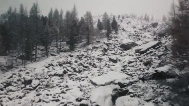 Fırtına, Belukha Dağı 'nın dev buzulunda kar yağışı Aktru Nehri vadisi, Altai Dağları. Bulutlu hava, karda taş, fırtına, vahşi yaşam, kış ormanı, donmuş dağ nehri