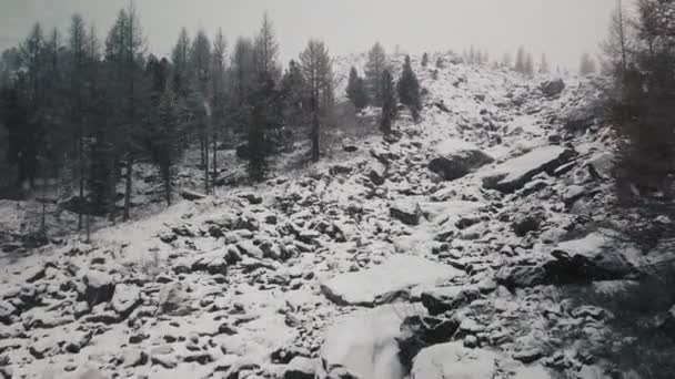 Storm, snöfall i den enorma glaciären vid berget Belukha, Aktru älvs dal, Altai-bergen. Molnigt väder, sten i snön, storm, vilda djur, vinterskog, frusen bergsflod i — Stockvideo