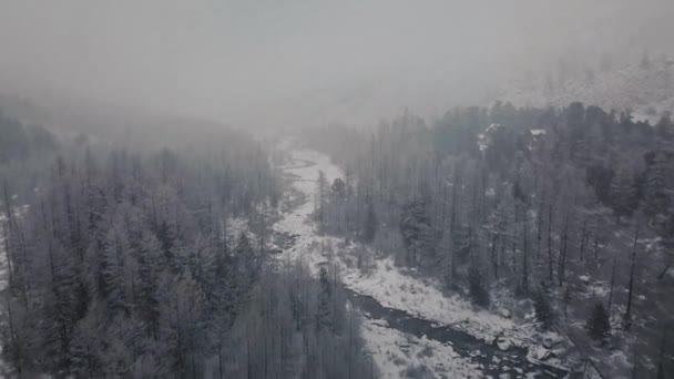 风暴，大雪下在大雪中的Belukha山，Aktru河的山谷，阿尔泰山脉。多云的天气，雪地里的石头，风暴，野生动物，冬天的森林，冰冻的山河 — 图库视频影像