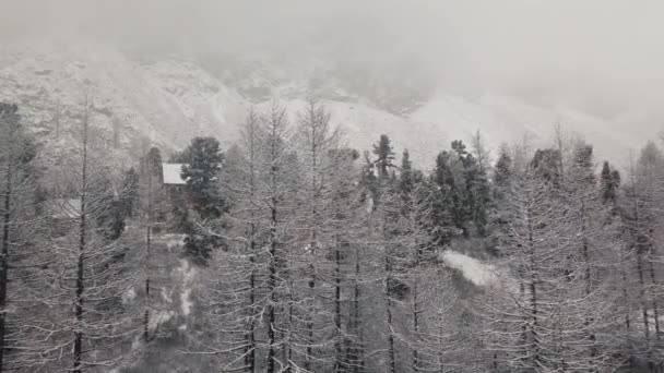 Шторм, снегопад над зимним лесом и небольшая деревня в долине реки Актру, в горах Алтая. Облачная погода, дикая природа, зимний лес, горная река в долине реки Чуя и — стоковое видео
