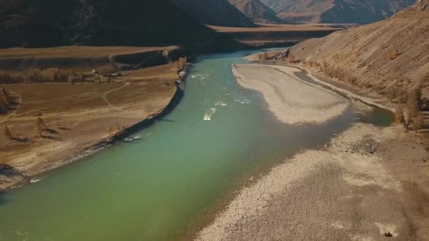 Altai Köztársaság, Szibéria, Oroszország. A két Biya és Katun folyó egy folyóba torkollik. Tájkép őszi vadvilággal: hatalmas hegyek, kőpart, sárga fák arany lombozattal, zöld türkiz folyó — Stock videók