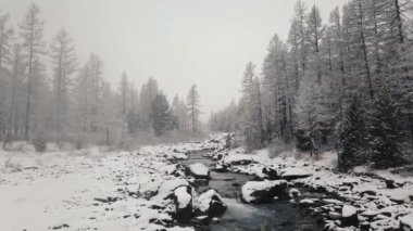 Fırtına, Aktru Nehri vadisinde Altai dağlarında büyük bir kar yağışı. Bulutlu hava, vahşi yaşam, kış ormanı, Chuya Nehri vadisinde akan dağ nehri ve Aktru Altai Cumhuriyeti