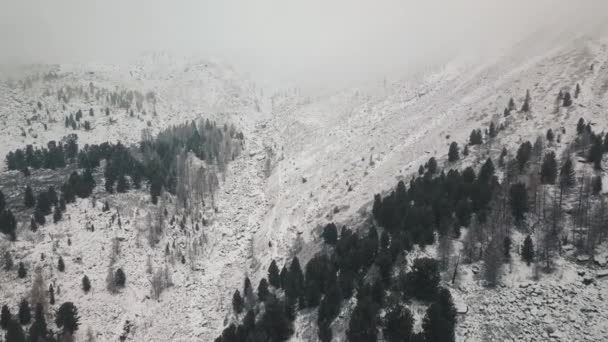 Tempestade, nevasca no enorme glaciar do Monte Belukha, no vale do rio Aktru, nas montanhas Altai. Tempo nublado, pedra na neve, tempestade, vida selvagem, floresta de inverno, rio de montanha congelado em — Vídeo de Stock