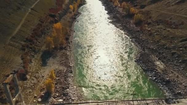 Luftaufnahme des ruhigen Gebirgsflusses Katun. Herbstlandschaft der wilden Natur des Altai-Territoriums: Berge, Wälder, Felder, ein Feldweg, die Sonnenstrahlen. Die Kamera fliegt — Stockvideo