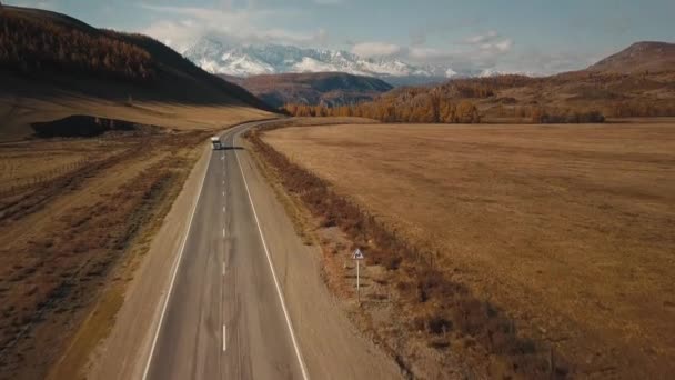Altai Republic, Siberia, Russia. Rare trees, a highway in an endless field and steppe and huge snowy mountains in the background. Aerial view of the beautiful autumn wildlife of the Altai Territory — Stock Video