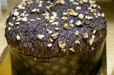 Noel konsepti: Çikolata kaplı fındıklı panettone, tipik bir İtalyan tatlısıdır.