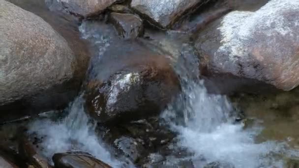 La cascada de un manantial alpino en medio de las piedras — Vídeos de Stock