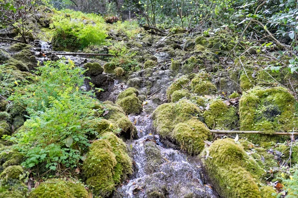 Riacho em um vale entre grama e pequenas pedras — Fotografia de Stock