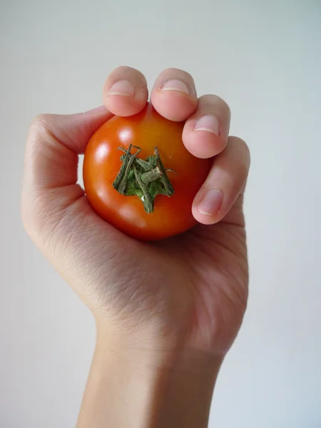 En hand håller en tomat — Stockfoto