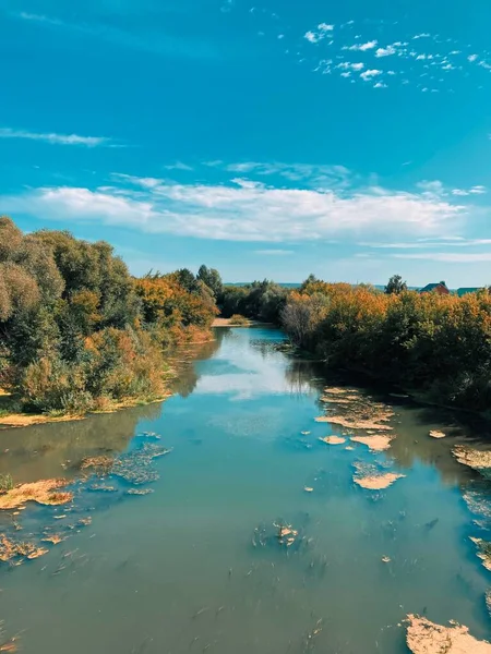 gökyüzü, yaz, hava, çiçekler, gün, şafak, doğa