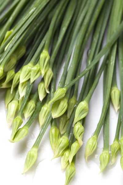 Ciboulette à l'ail en fleurs — Photo