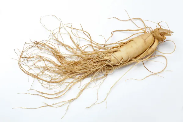 Raízes de ginseng — Fotografia de Stock