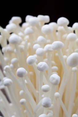 enoki mantarları