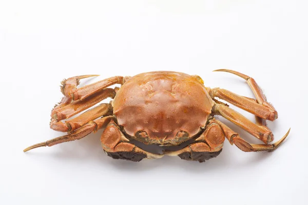 Gekookte krab — Stockfoto