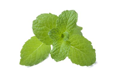 Taze nane yaprakları