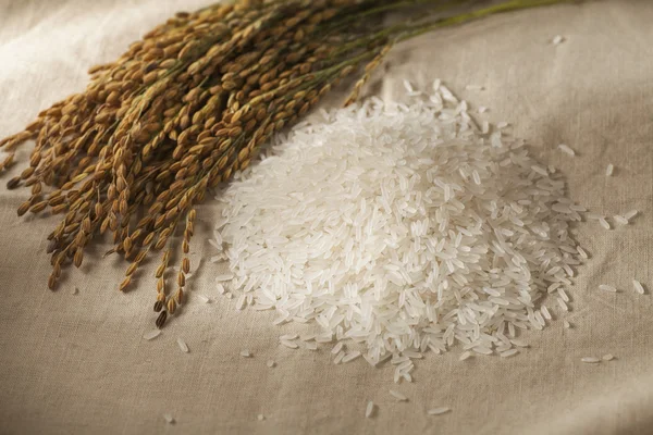Pirinç yığını — Stok fotoğraf