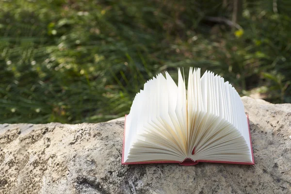 Geopende boek — Stockfoto