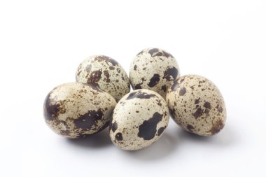 bıldırcın yumurtası