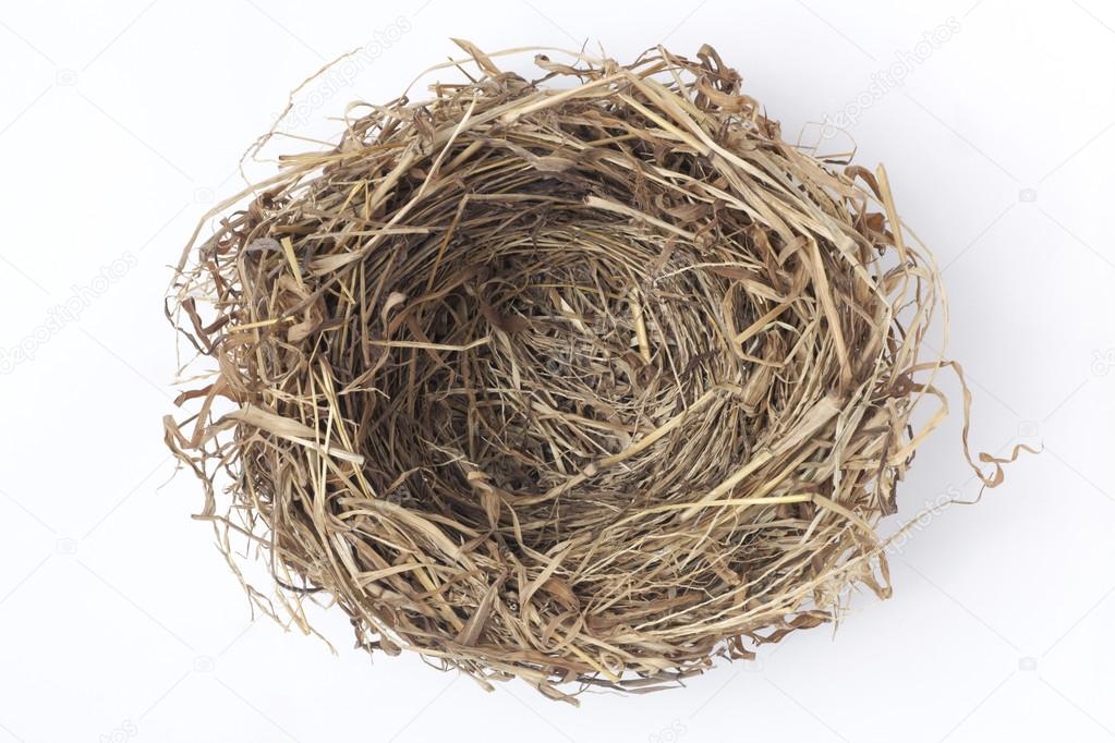 Empty bird nest