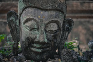 Kum taşından oyulmuş eski Buda heykeli Wat U Mong Tapınağı 'na bırakıldı. Chiang Mai, Tayland 'daki seyahat yeri tapınağı. Din kavramı.