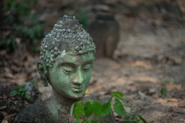 Kum taşından oyulmuş eski Buda heykeli Wat U Mong Tapınağı 'na bırakıldı. Chiang Mai, Tayland 'daki seyahat yeri tapınağı. Din kavramı.