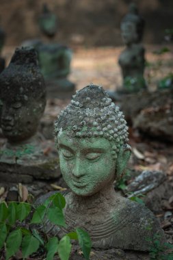 Kum taşından oyulmuş eski Buda heykeli Wat U Mong Tapınağı 'na bırakıldı. Chiang Mai, Tayland 'daki seyahat yeri tapınağı. Din kavramı.