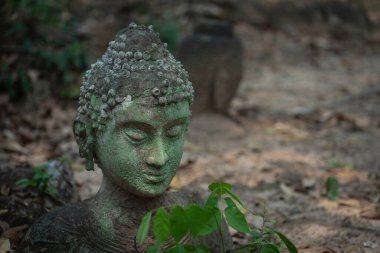 Kum taşından oyulmuş eski Buda heykeli Wat U Mong Tapınağı 'na bırakıldı. Chiang Mai, Tayland 'daki seyahat yeri tapınağı. Din kavramı.