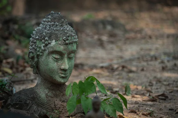 Ancient Old Ruin Head Buddha Statue Carved Sandstone Destroyed Abandoned — Stock Photo, Image