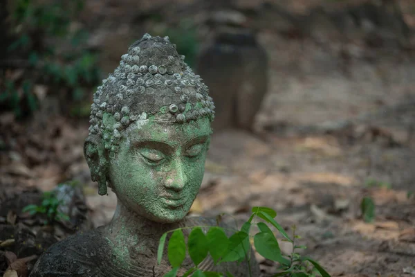Kum taşından oyulmuş eski Buda heykeli Wat U Mong Tapınağı 'na bırakıldı. Chiang Mai, Tayland 'daki seyahat yeri tapınağı. Din kavramı.