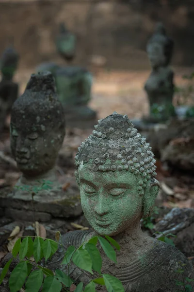 Kum taşından oyulmuş eski Buda heykeli Wat U Mong Tapınağı 'na bırakıldı. Chiang Mai, Tayland 'daki seyahat yeri tapınağı. Din kavramı.