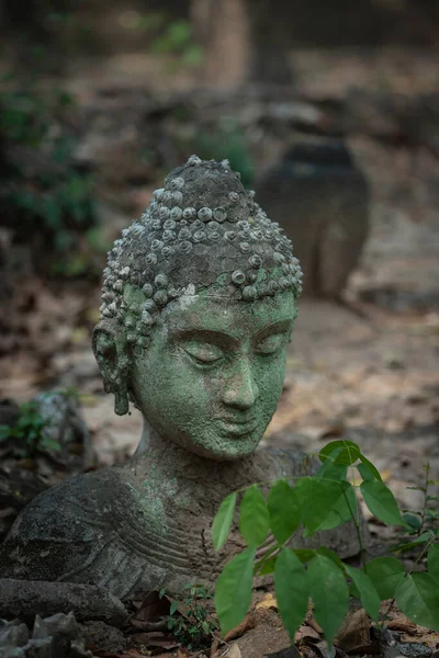 Kum taşından oyulmuş eski Buda heykeli Wat U Mong Tapınağı 'na bırakıldı. Chiang Mai, Tayland 'daki seyahat yeri tapınağı. Din kavramı.