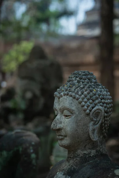 Ancient Old Ruin Head Buddha Statue Carved Sandstone Destroyed Abandoned — Stock Photo, Image