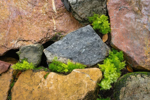 Zahradní Úpravy Přirozenou Svěžest Zelených Stromů Rostlin Přírodní Skály Pro — Stock fotografie